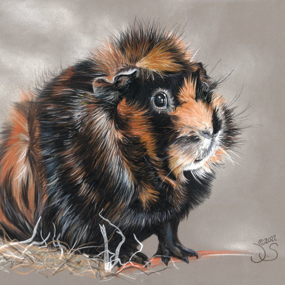 Wild- und Haustiere Kunstdrucke