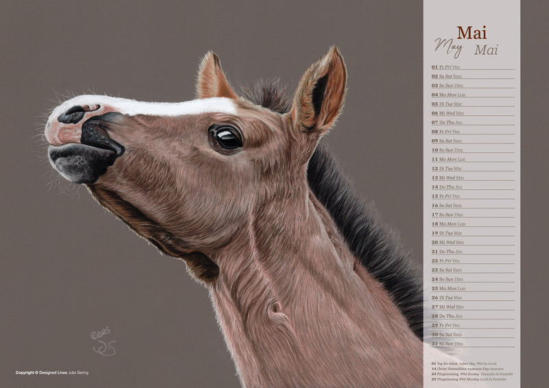Western Horses & Sports Kunstkalender 2026